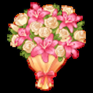 Meet your Posher, Emery